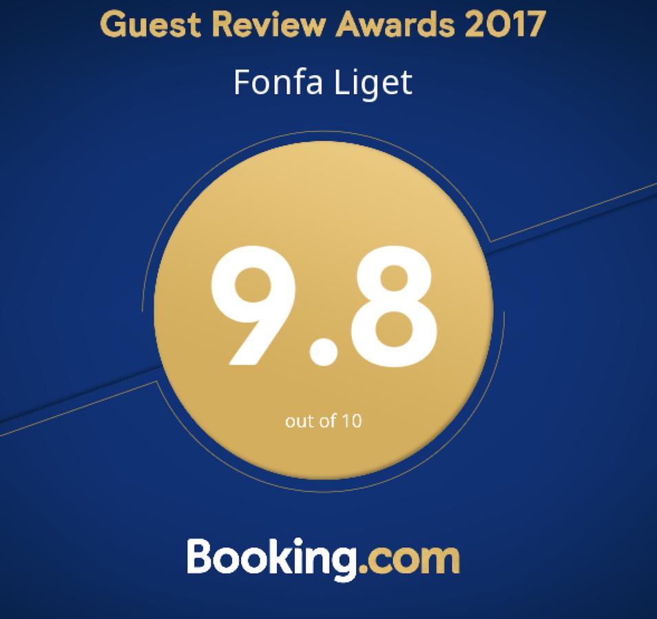 Fonfa Liget Hotel Senye Exterior foto